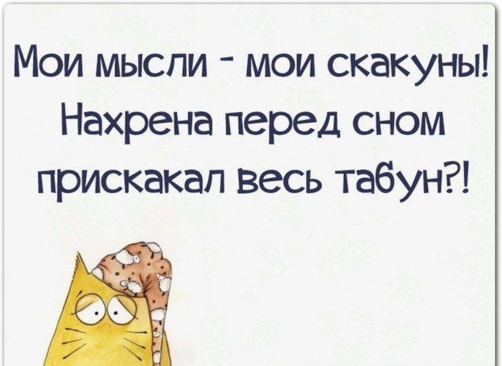 Мои мысли мои скакуны Нахрена перед сном прискакал весь табун