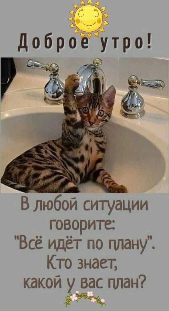 Доброе утро Са В любой ситуации говорите Всё идёт по плану Кто знает какой у вас план ч