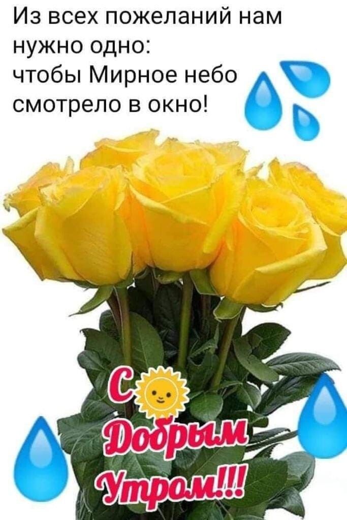 Из всех пожеланий нам нужно одно чтобы Мирное небо смотрело в окно