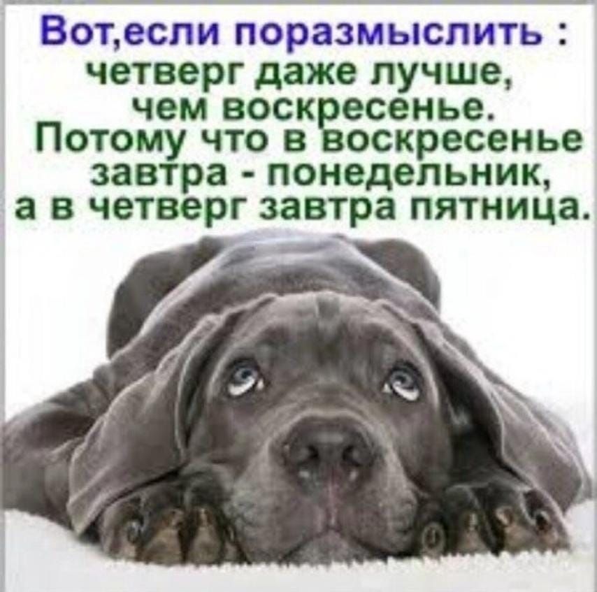 ВОПВСПИ ПОРЗЗМЬПСПИТЬЁ четверг даже лучше чем ВОСК ОСЕНЬЕ ПОТОМУ ЧТО В оскресенье ЗЗВТРЗ понедельник а В ЧЕТВЗРГ завтра ПЯТНИЦЗ