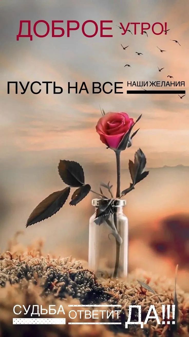 ОБРОЕ ивоък ПУСТЬ НА ВСЕ АШИЖЕПГНИЯ у