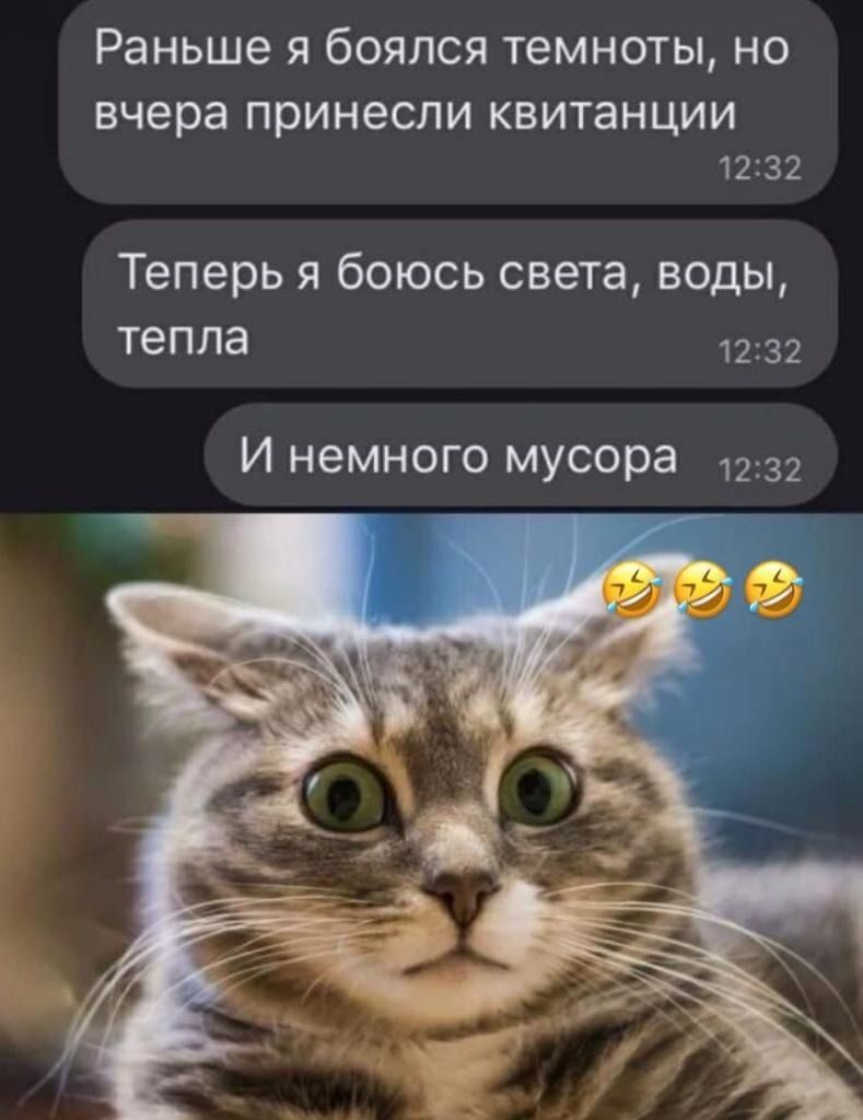 Раньше я боялся темноты но вчера принесли КВИТЗНЦИИ 1232 Теперь я боюсь света воды тепла 1232 И немного мусора 1231