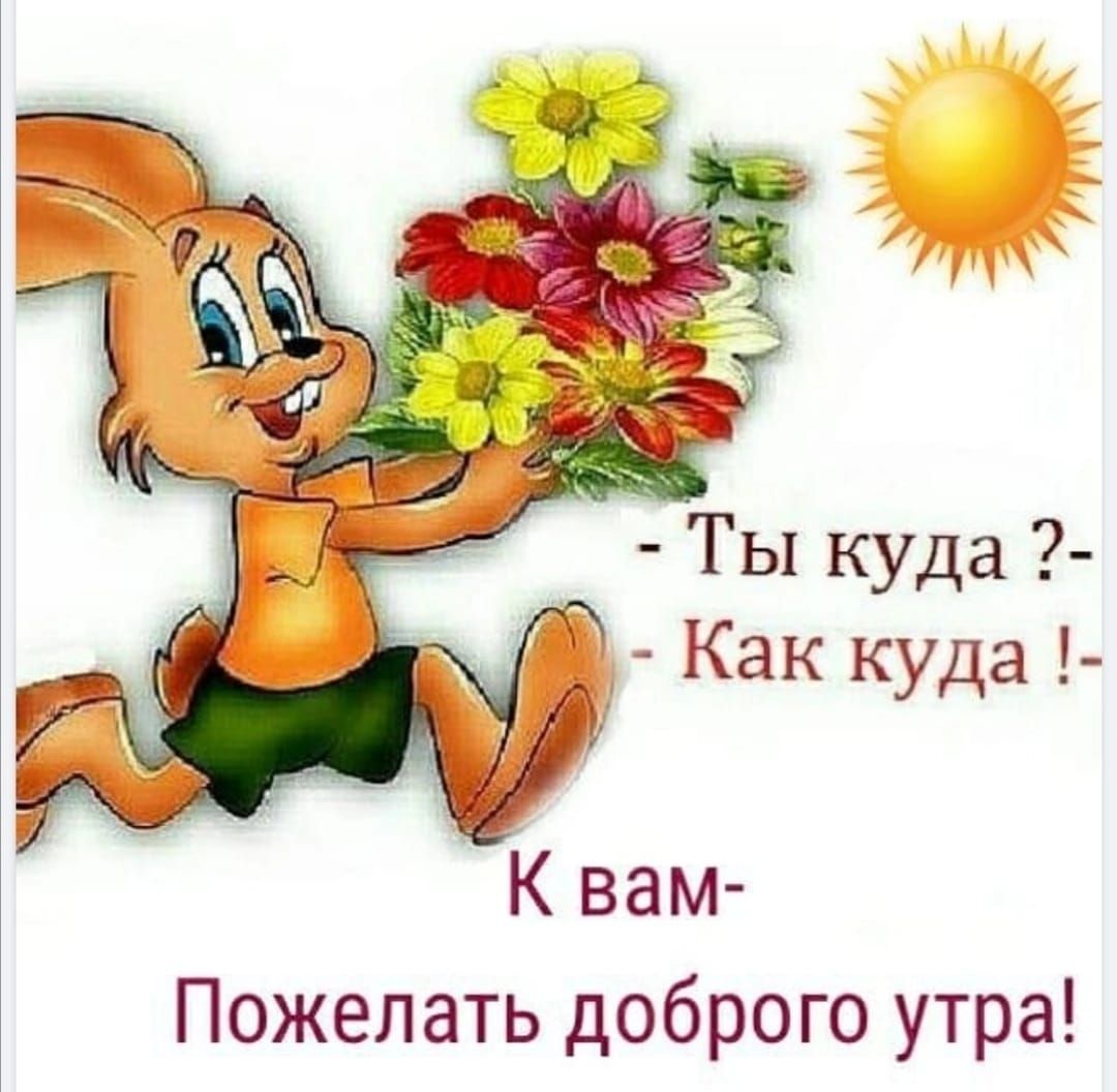 Ты куда Как куда К вам Пожелать доброго утра