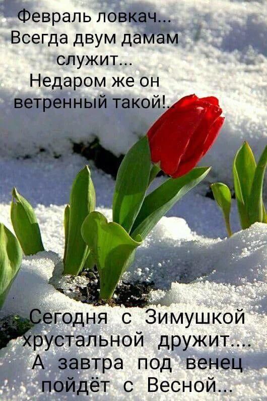 Февраль ловкач Всегда двум дамам служит Недаром же он ветренный такой ид егодня Зимушкой рустапьной дружит А завтра под венец пойдёт с Весной