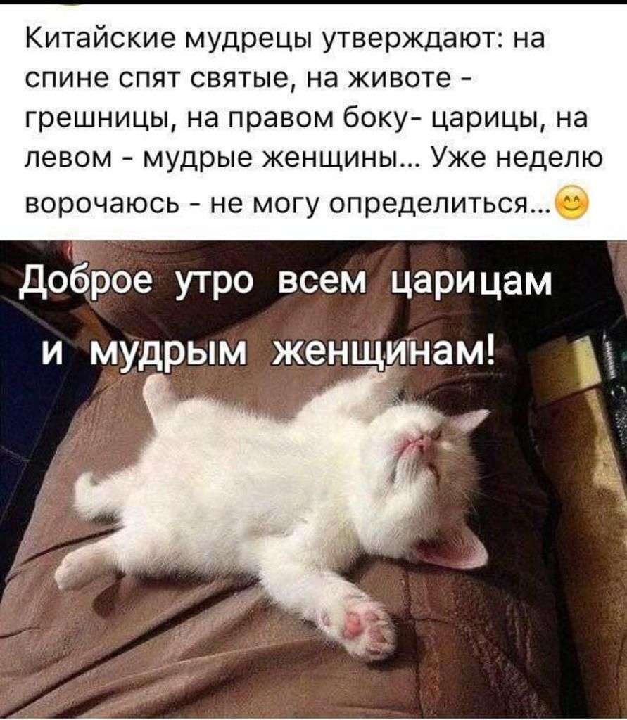 Китайские мудрецы утверждают на спине спят святые на животе грешницы на правом боку царицы на левом мудрые женщины Уже неделю ворочаюсь не могу определитьсяб Доброе утро всем царицам и мудрым женщинам