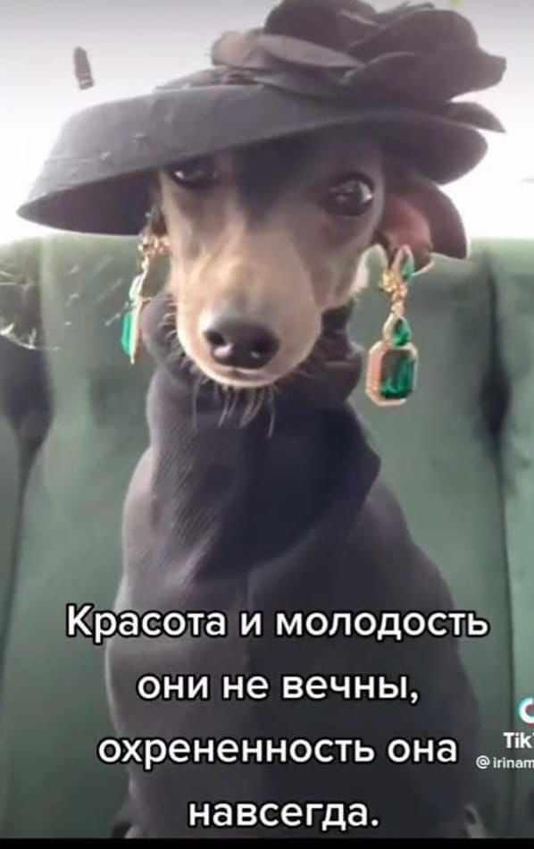 Красота И МОЛОДОСТЬ ОНИ не ВЭЧНЫ охрененность она 912 навсегда