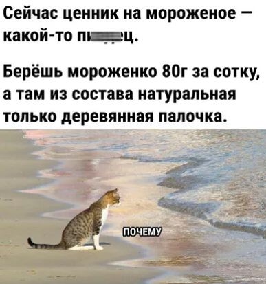 Сейчас ценник на мороженое какой то пц Берёшь иороженно 80г за сотку а там из состава натуральная только деревянная палочка дпрчгму