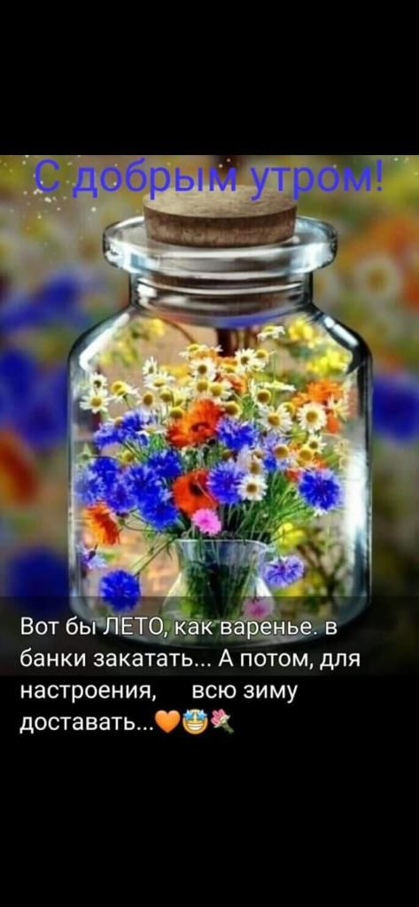 настроения всю зиму доставать0_