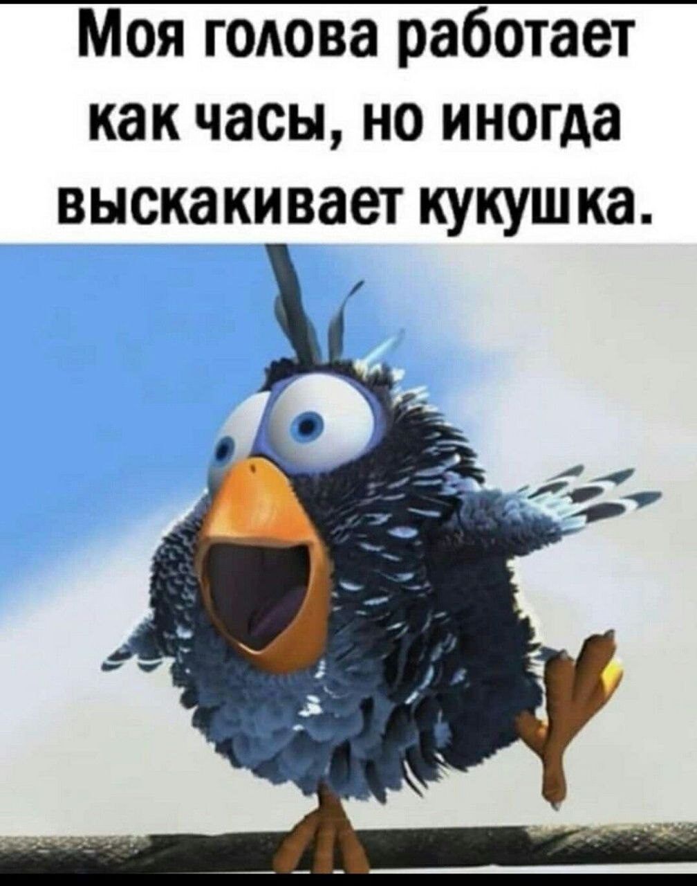 Моя голова работает как часы но иногда выскакивает кукушка