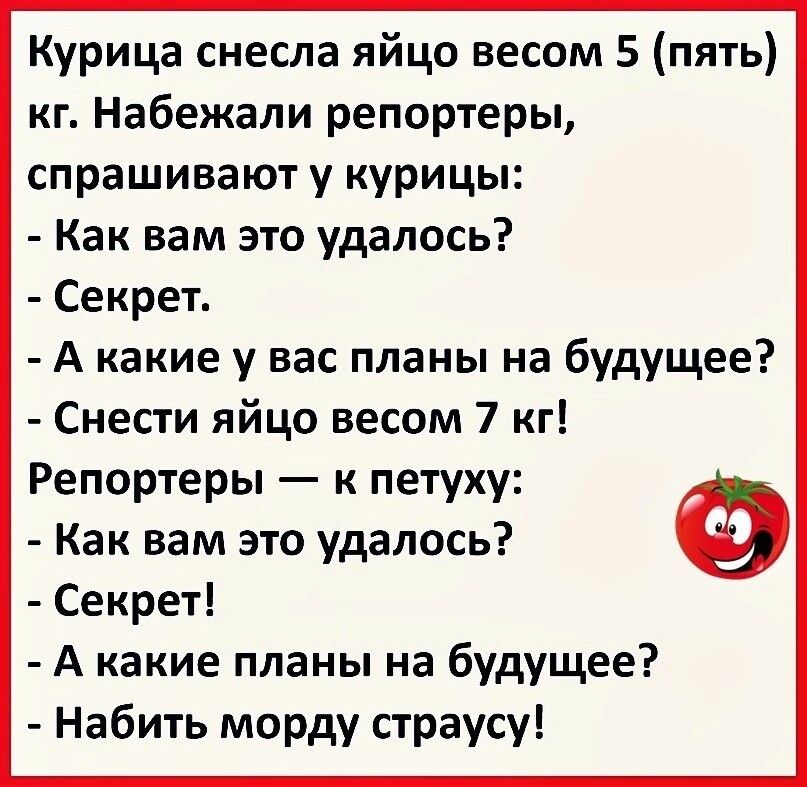 Курица снесла яйцо весом 5 пять кг Набежали репортеры спрашивают у курицы Как вам это удалось Секрет А какие у вас планы на будущее Снести яйцо весом 7 кг Репортеры к петуху Как вам это удалось Секрет А какие планы на будущее Набить морду страусу