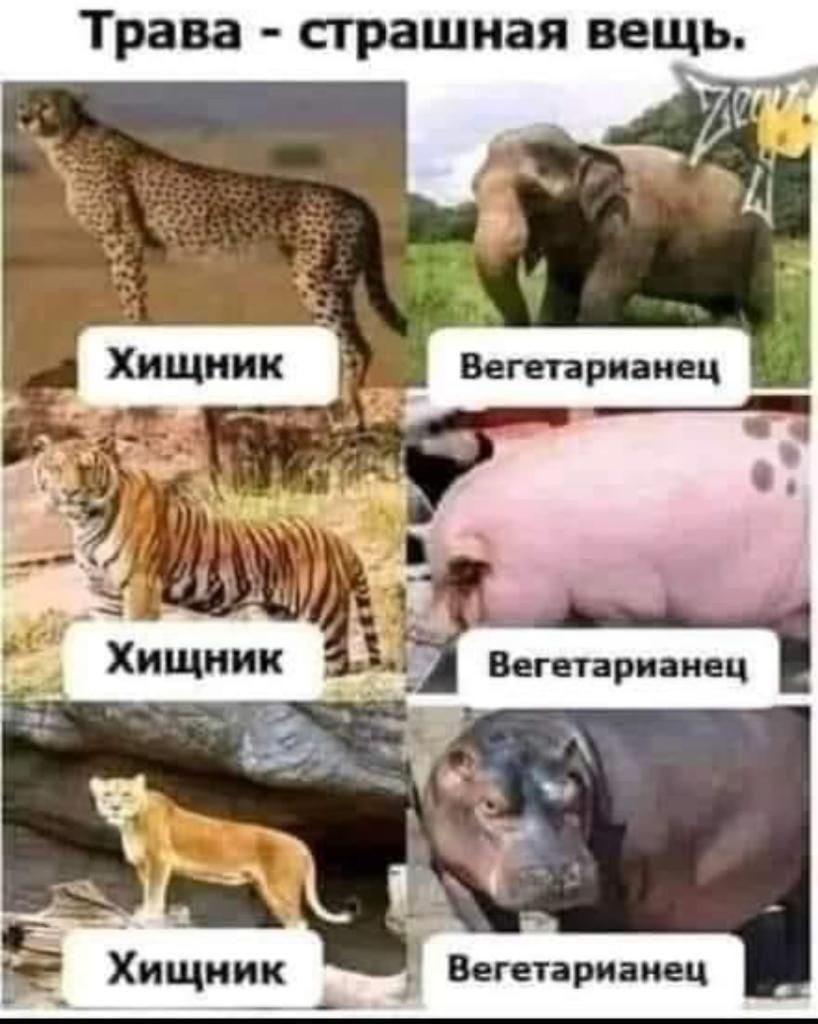 Трава страшная вещь