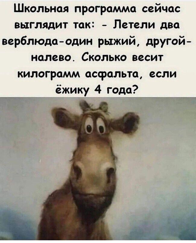 Школьная программа сейчас выглядит так Летели два верблюдаодин рыжий другой нолево Сколько весит килограмм асфальта если ёжику 4 года