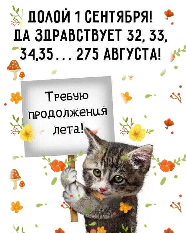 подосентявряд ЦА зпрдвствувт 52 53 35435 275 АВГУСТА _ф Треввю продоткенця Лета