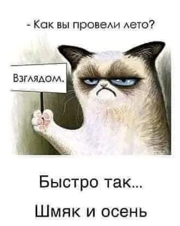 Как вы провеАи Аето Быстро так Шмяк и осень