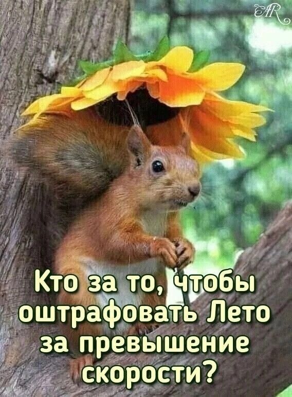 4 КтоЪзадто чребіэп оштрафовать Лето за ЧРЁЕБЁШВНИВ 59 ости
