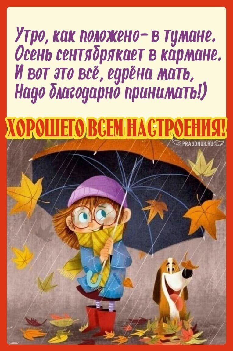 Утро как положено в тумане Осень сентябрякпет в кармане И вот это всё еурёна мать Науо благодарно принимать ичшпьшшъй