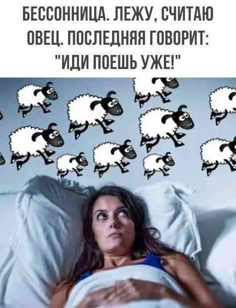 БЕССОННИЦА ЛЕЖУ СЧИТАЮ ОВЕЦ ПОСЛЕДНЯЯ ГПВПРИТ ИЛИ ПОЕШЬ УЖЕ Ёэ