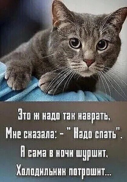 Зтп надп тан шта Мне снизила апп спатіі И сама в нпчи шуршит Ё Хцпплцпьнин пптрпшит