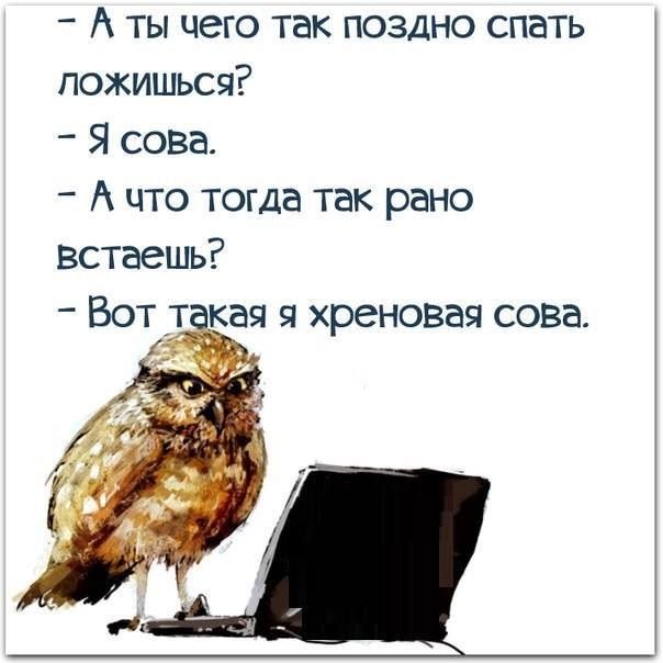 А ты чего так поздно спать пожишьсч Я сова А что тогда так рано встаешь Вот кач хреновая сова