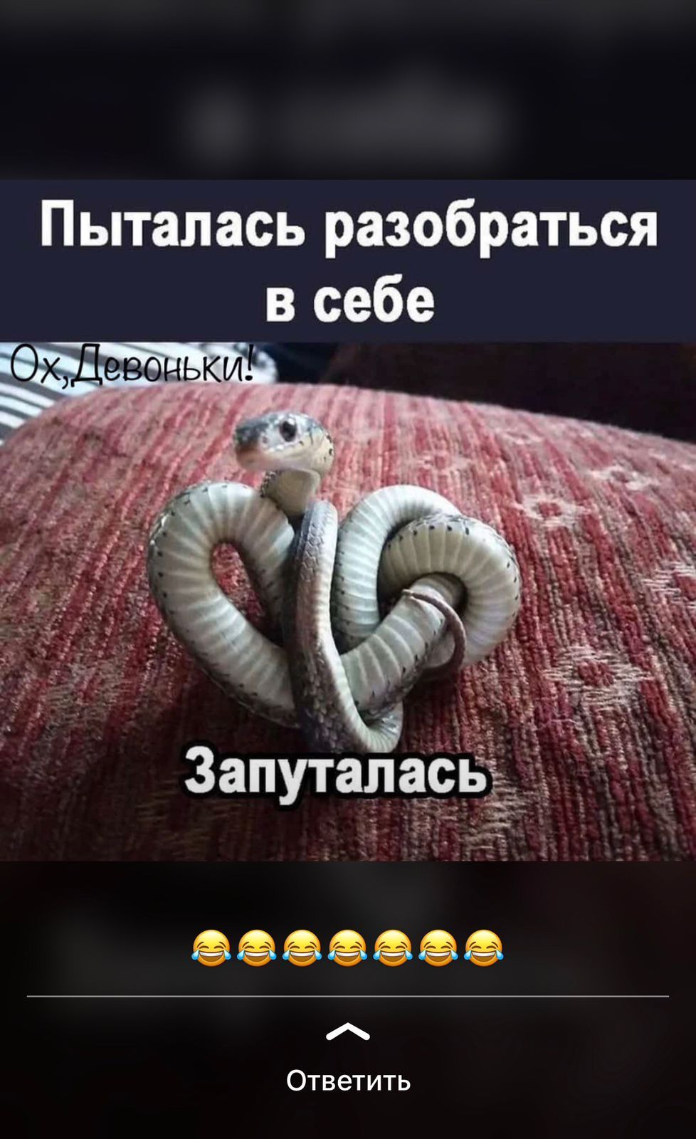 Пыталась разобраться в себе хДедоньки Ответить