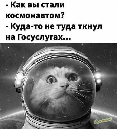 Как вы стали космонавтом Куда то не туда ткнул на Госуслугах