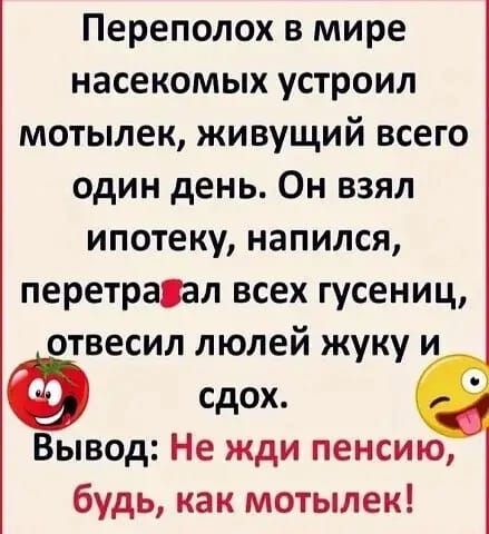 Переполох в мире насекомых устроил мотылек живущий всего один день Он взял ипотеку напился перетраал всех гусениц отвесил люлей жуку и сдох Вывод Не жди пенсию будь как мотылек