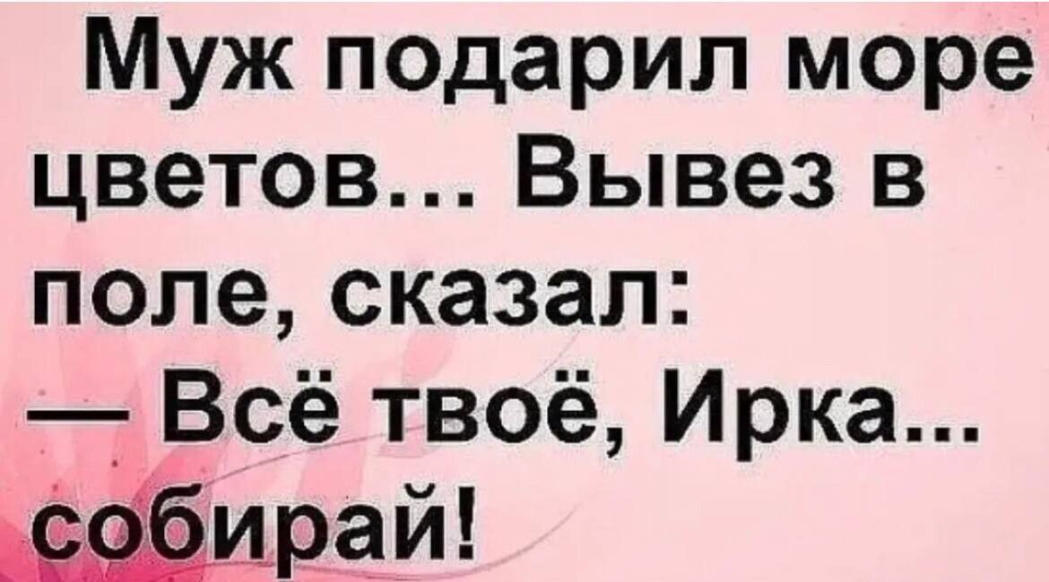 Скажи поле. Анекдот про хорошую хозяйку. Анекдоты муж подарил цветы. Муж подарил мне море цветов вывез в поле. Анекдот муж дарит цветы.