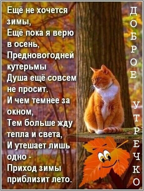 ЕЩёне хдчется зимы Ещё пока я верю в осень Предновогодней кутерыиы душа ещёсовсем не просит АИ чем темнее за окном Тем больше жду тепла и света И ешаетпишь _ і Приход зимы приблизит лето