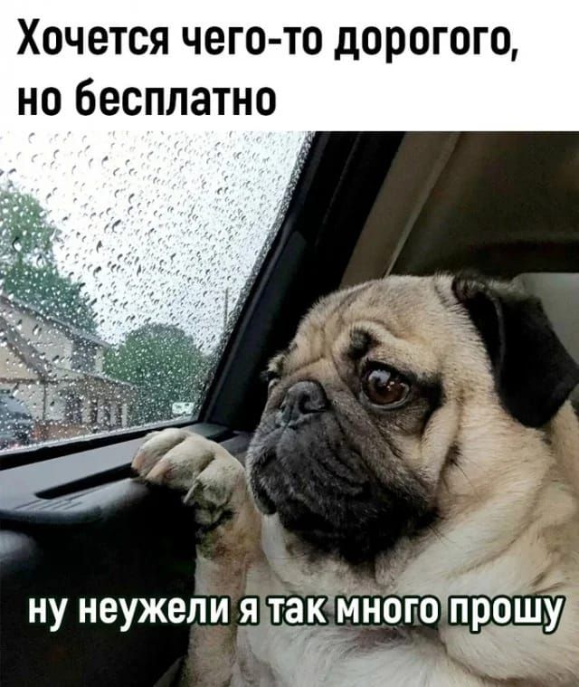 Хочется чего то дорогого но бесплатно НУ НЕУЖЕЛИ дтак МНОПО ПРОШУ