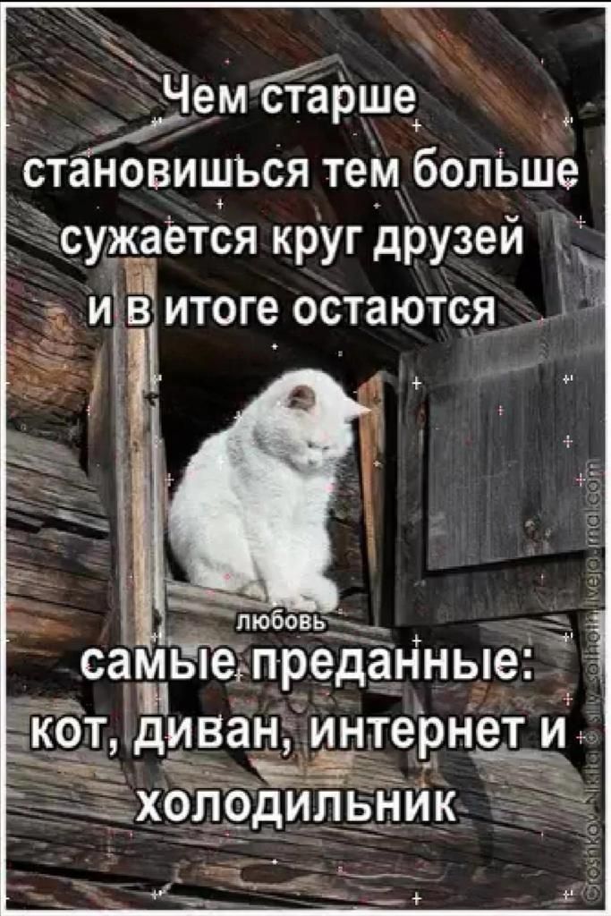 Чем старше _ становишъся тем больше узкёётся круг друзей и віитоге остаются