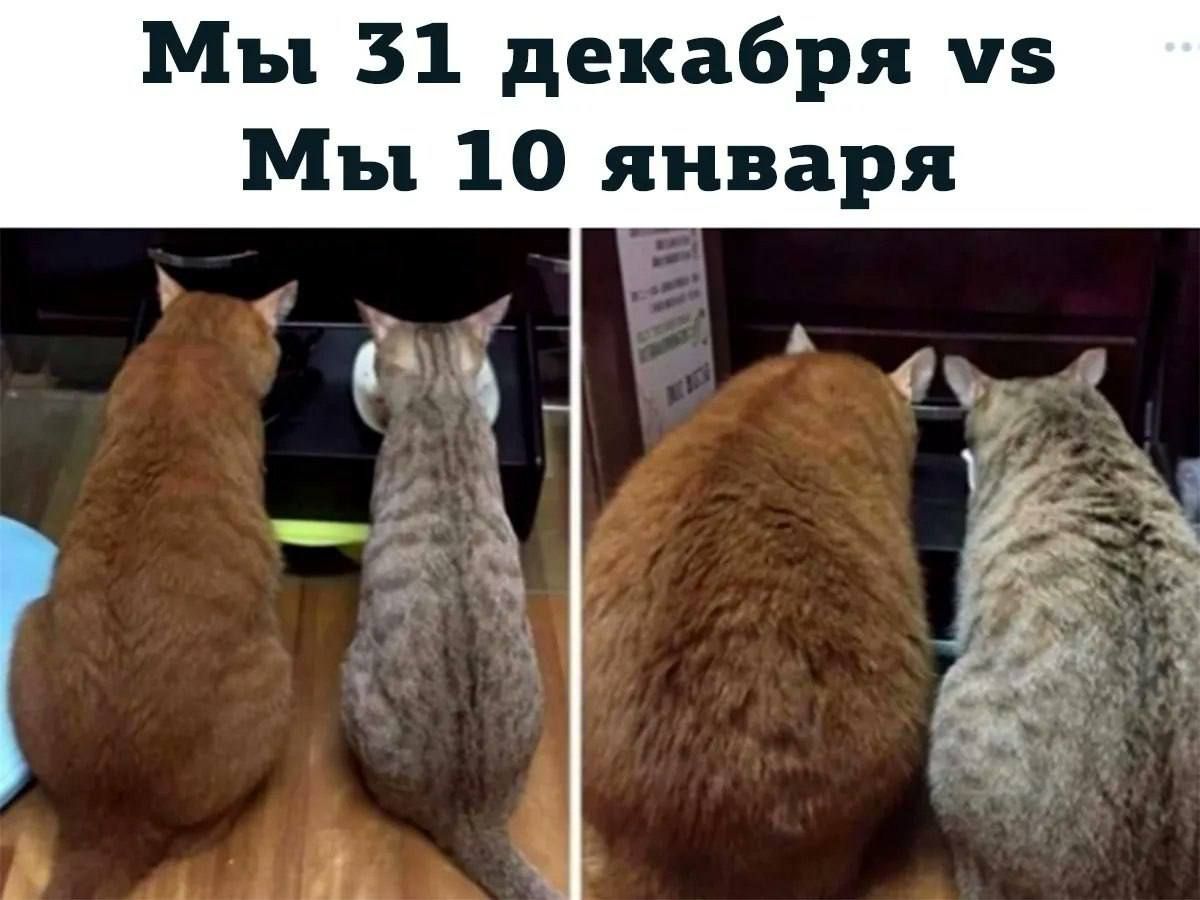 Мы 31 декабря 5 Мы 10 января