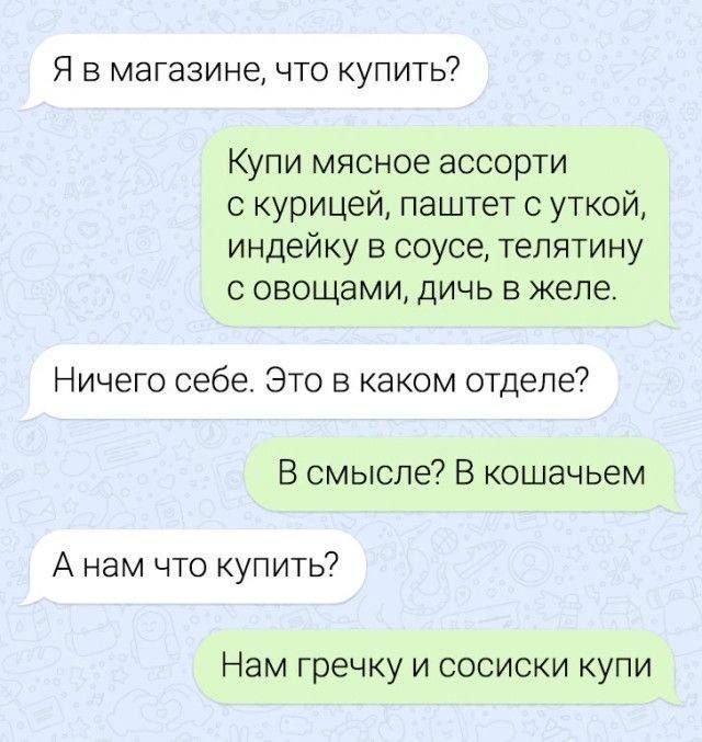 Я в магазине что купить Купи мясное ассорти курицей паштет с уткой индейку в соусе телятину с овощами дичь в желе Ничего себе Это в каком отделе В смысле В кошачьем А нам что купить Нам гречку и сосиски купи