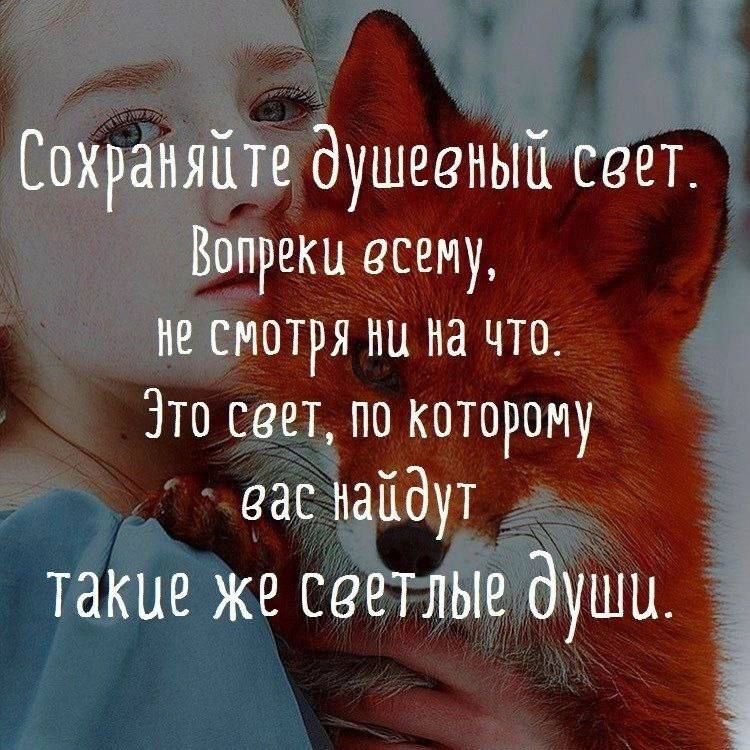 Сохраняйте душевный сеет Вопреки всему не смотря ни на чте Зто свет по котрому вас найдут такие же светлые души