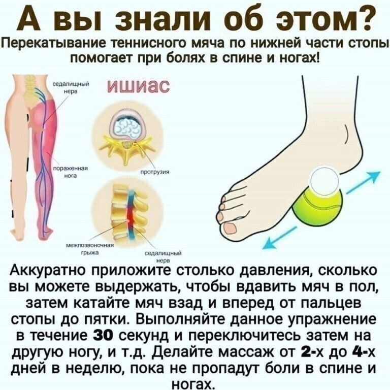 А вы знали об этом Перенвтыееиие теннисист шин по нижней части стопы помогает при болях в спине и ногах ишиас Аккуратно приложите столько давления сколько вы можете выдержать чтобы вдавить мяч в пол затем кетайге мяч взад и вперед от пальцев стопы до пятки Выполняйте данное упражнение в течение ю секунд и переключитесь затем на другую ногу и тд делайте массаж от 2 х до 4 х дней в неделю пока не пр