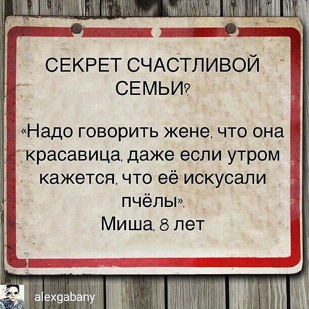 СЕКРЕТ СЧАСТЛИВОЙ СЕМЬИ Надо ГОВОРИТЬ жене ЧТО она _ красавица даже если утром кажется что её искусали пчёльп Миша 8 лет