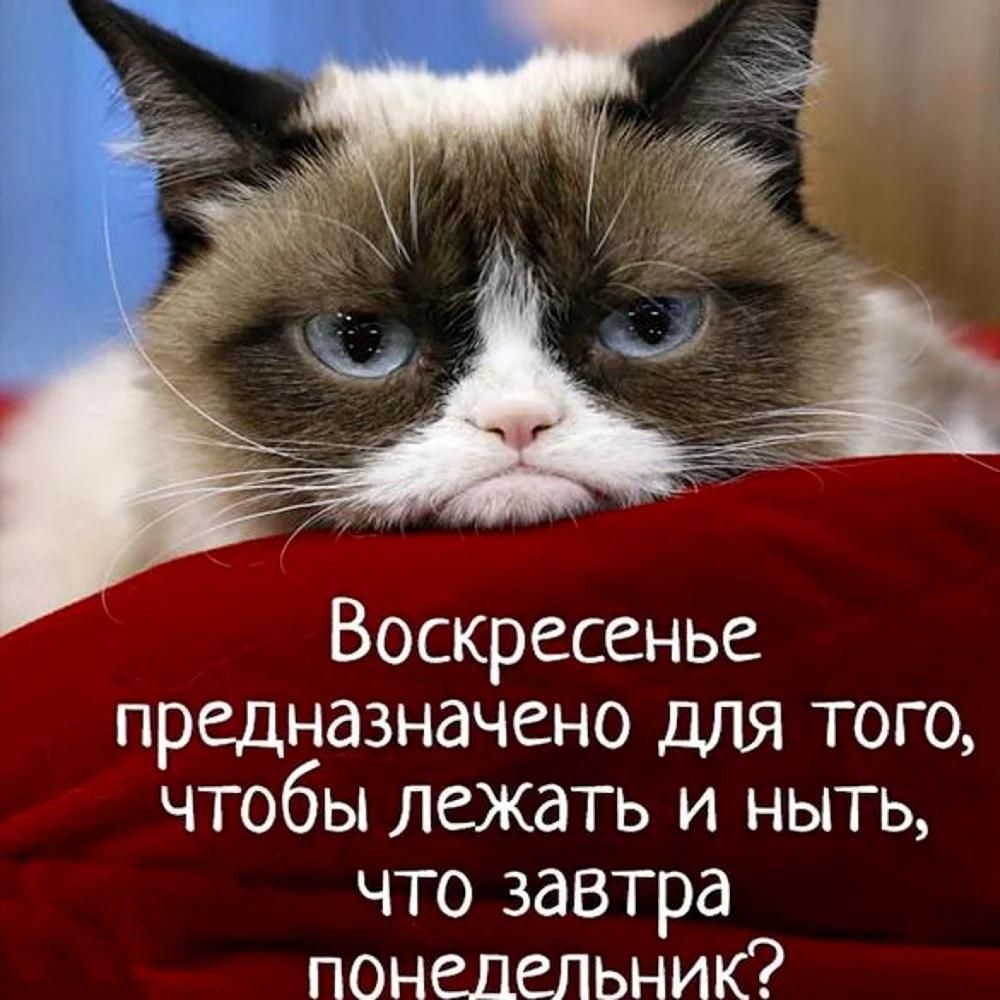 _ 9 Воскресенье предназначено для того чтобы лежать и ныть что завтра понедельник