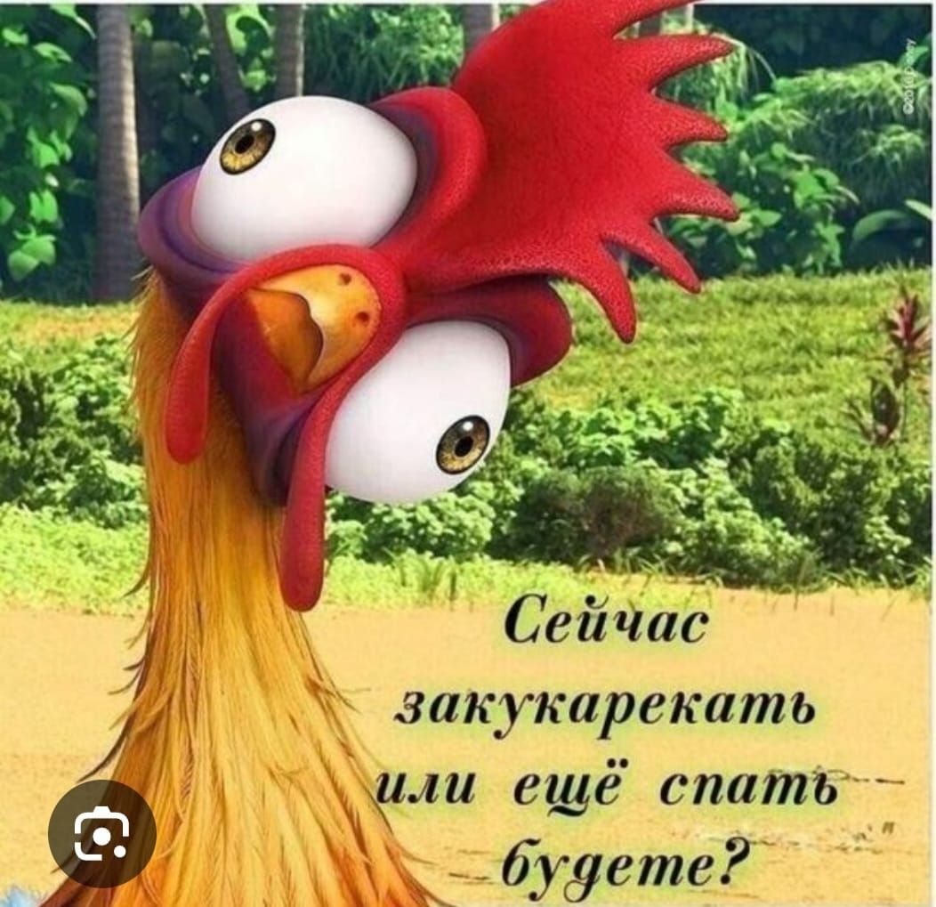 закукарекать дми ещё спать будете