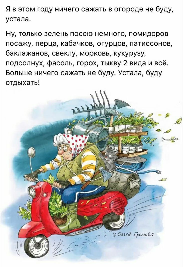 Я в этом году ничего сажать в огороде не буду устала Ну только зепеиь посею немного помидоров посажу перца кабачков огурцов патиссонов баклажанов свеклу морковь кукурузу подсолнух Фасоль горох тыкву 2 вида и всё Больше ничего сажать не буду Устала буду отдыхать