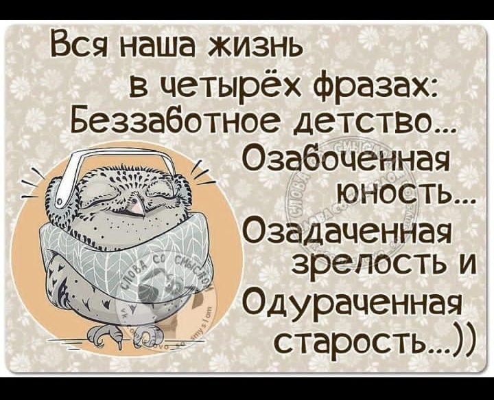 1530 753 Вся наша жизнь в четырёх фразах Беззаботное детство Озабоценная юность Озадаченнач зрелость и Одураченная старость О А