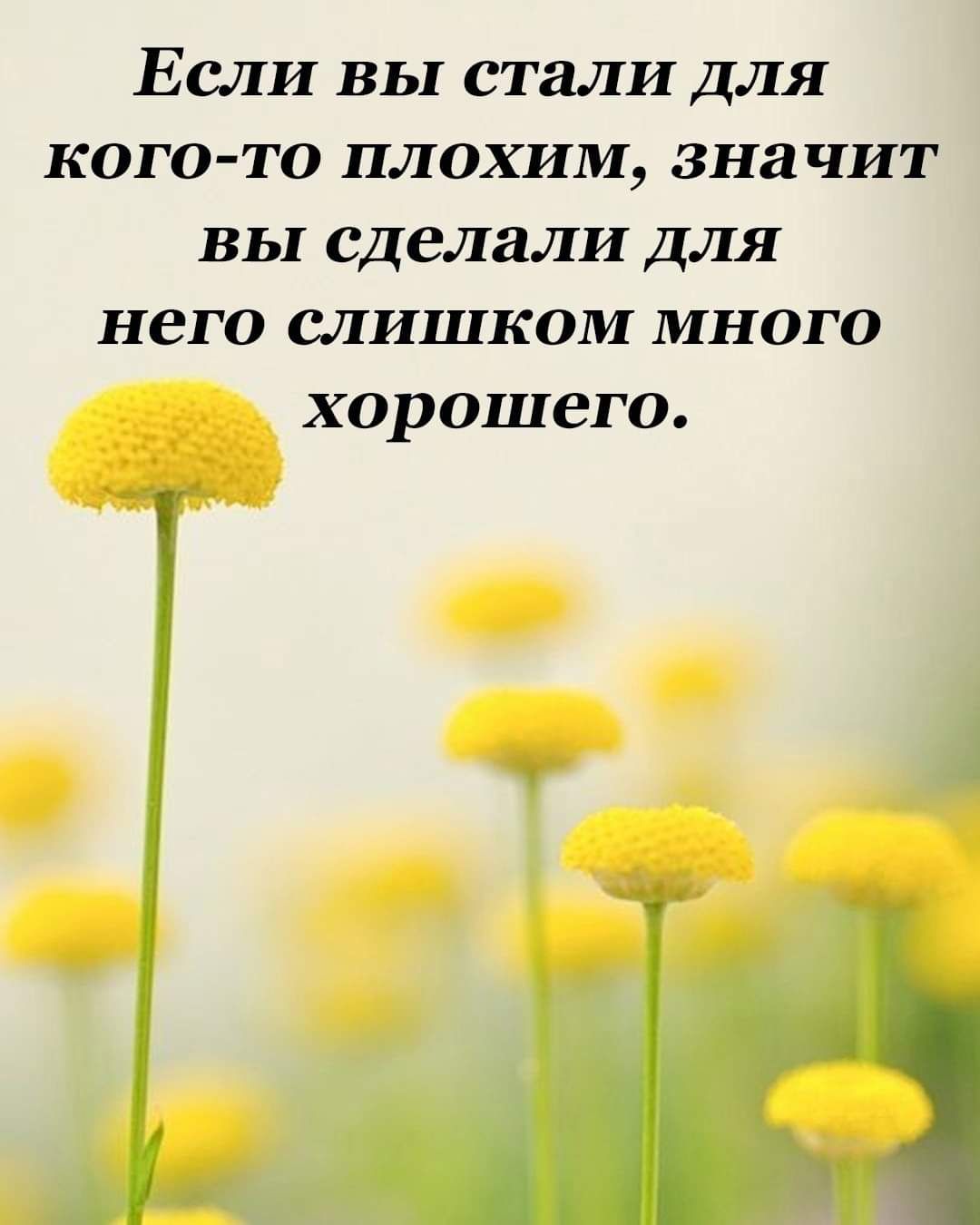 Если вы стали ДЛЯ кого то плохим значит вы сделали для него слишком много хорошего