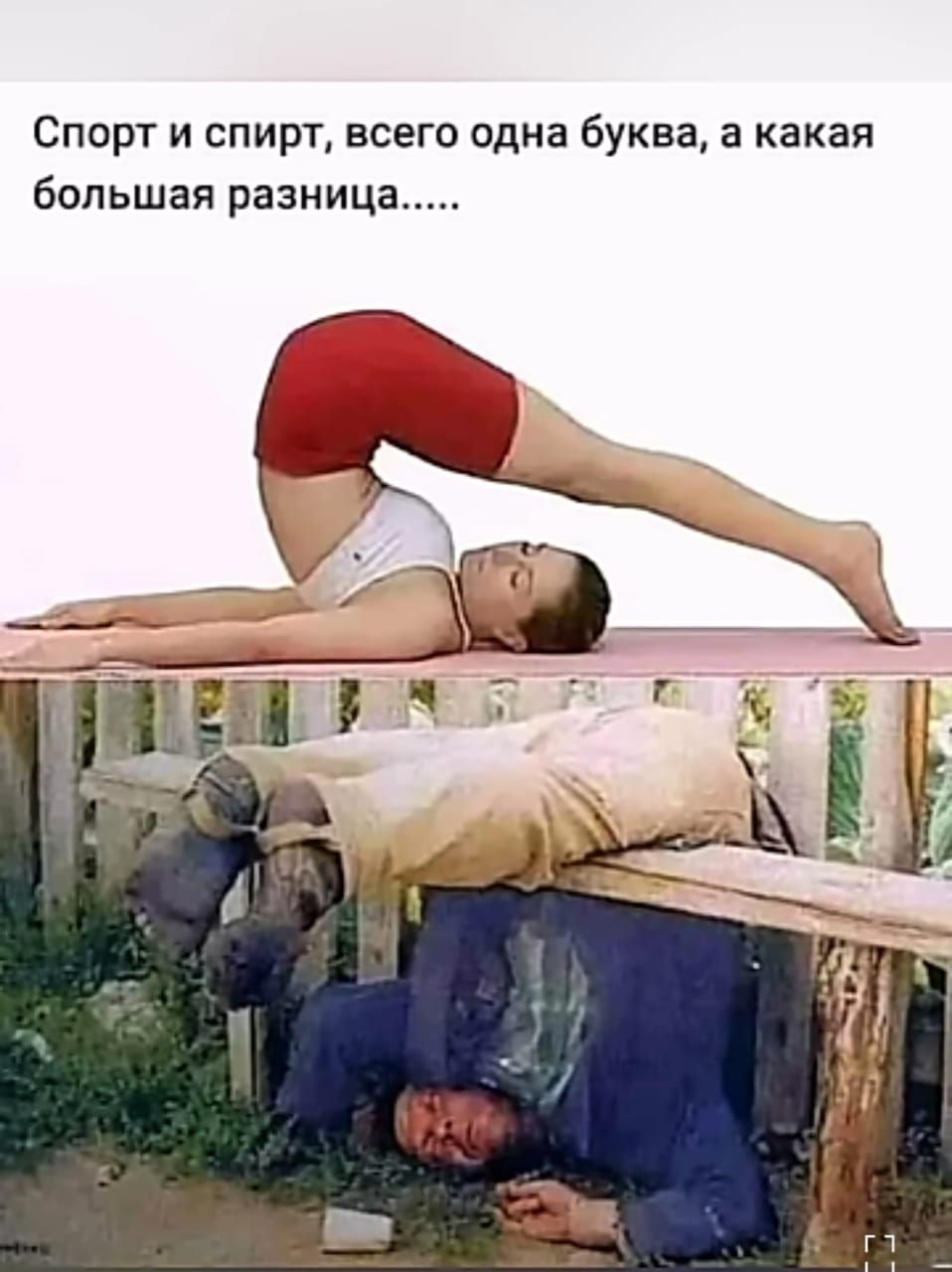 Спорт и спирт всего одна буква а какая большая разница