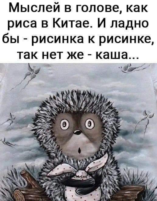 Мыслей в голове как риса в Китае И ладно бы рисинка к рисинке так нет же каша