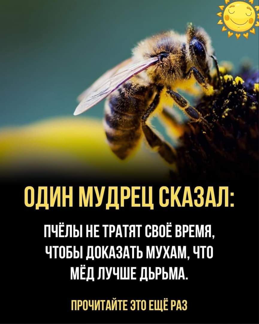 ОДИН МУДРЕЦ СКАЗАЛ ПЧЁЛЫ НЕ ТРАТНТ СВПЁ ВРЕМЯ ЧТПБЫ ЛПКАЗАТЬ МУХАМ ЧТП МЁд ЛУЧШЕ дЬРЬМА ПРПЧИТАЙТЕ ЭТП ЕЩЁ РАЗ