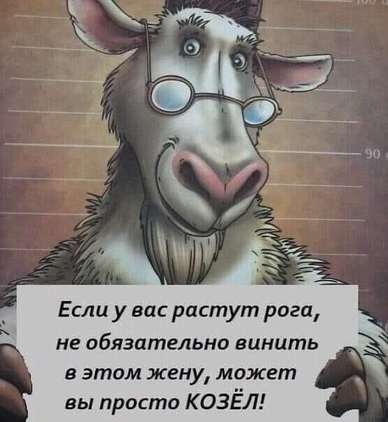 Если у вас растут рога не обязательно винить В этом жену может вы просто КОЗЕЛ