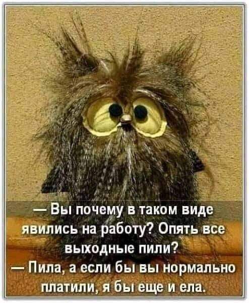 Вы почему в таком виде явились на работу Опять все выходные пили Пила а если бы вы нормально платили я бы еще и еда