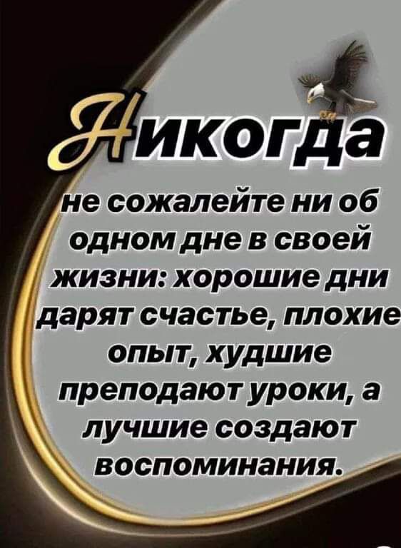 й ИКОГД не сожалейте ни об одном дне в своей жизни хорошие дни дарят счастье плохие опыт худшие преподают уроки а лучшие создают воспоминания