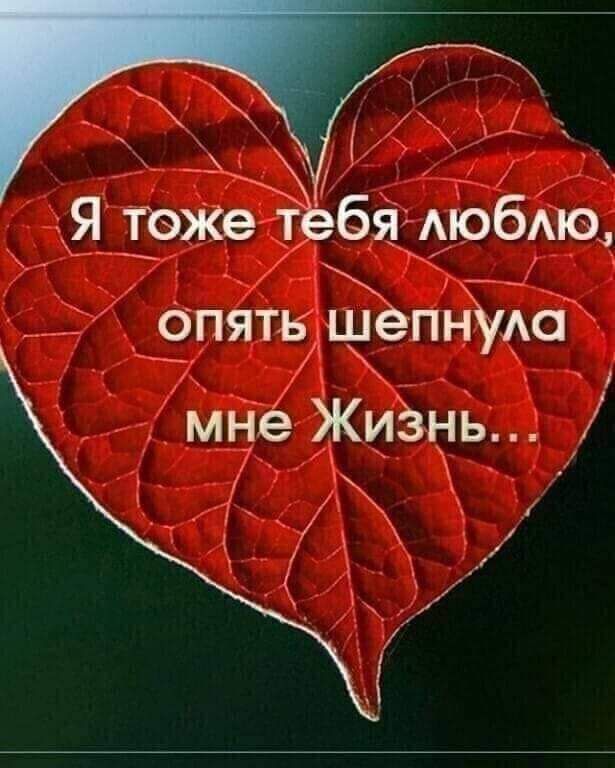Ъ Я тоже тебя люблю э опять шёпнула мне Жизнь Ъ