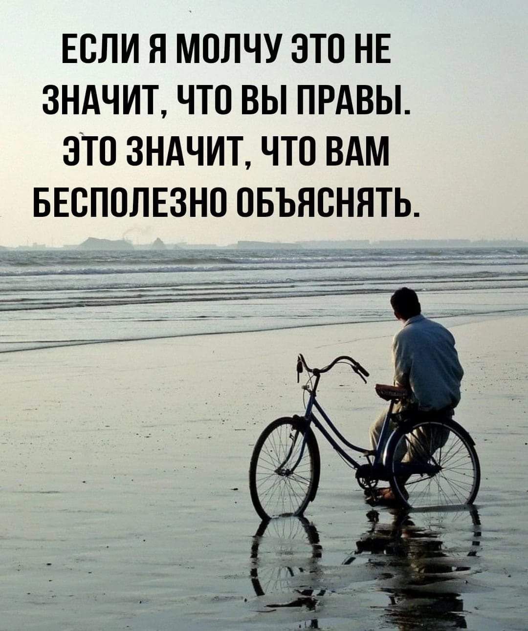 ЕСЛИ Я МОЛЧУ ЭТО НЕ ЗНАЧИТ ЧТО ВЫ ПРАВЫ ЭТО ЗНАЧИТ ЧТО ВАМ БЕСПОЛЕЗНО ОБЪЯСНЯТЬ