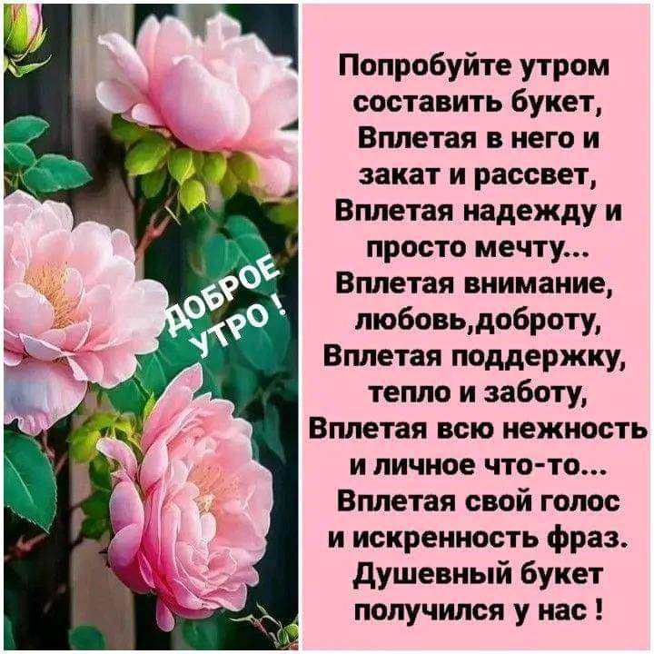 Т Г Попробуйте утром й а составить букет и Вплетая в него и закат и рассвет Вплетая надежду и просто мечту Вплетая внимание любовьдоброту Вплетая поддержку тепло и заботу Вплетая всю нежность и личное что то Вплетая свой голос иискренность фраз Душевный букет получился у нас