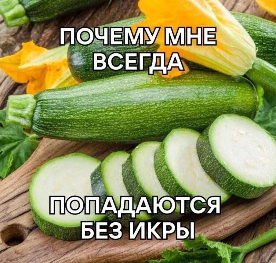 ПОЧЕМУЛЛНЕ ы ВСЕГДА БЕЗ ИКРЫ ЬЙм